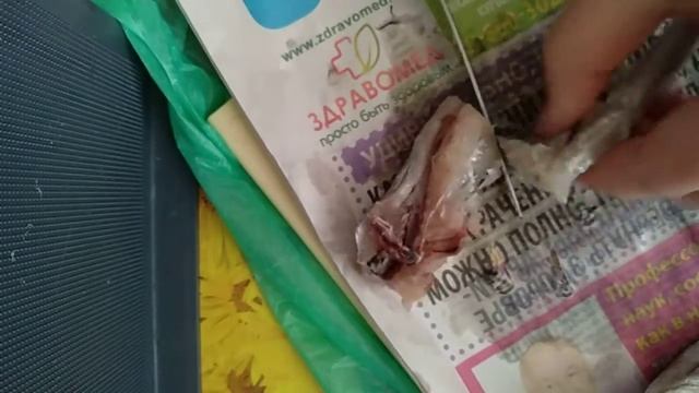 Чищу рыбу ? Путассу ?