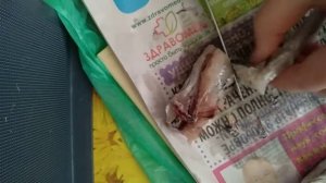 Чищу рыбу ? Путассу ?