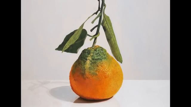 Citrus Reticulata, fructus - 2013 | painting step by step | Marco Condrò смотреть онлайн