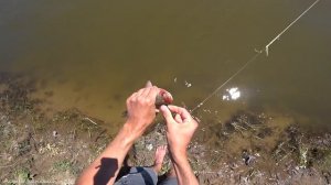 СЕЛЕДКА НА РЕЗИНКУ! Ход Астраханской селедки! Ловля Каспийской селедки!