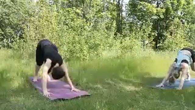 Хатха-йога Оупен Эйр )) смотреть онлайн