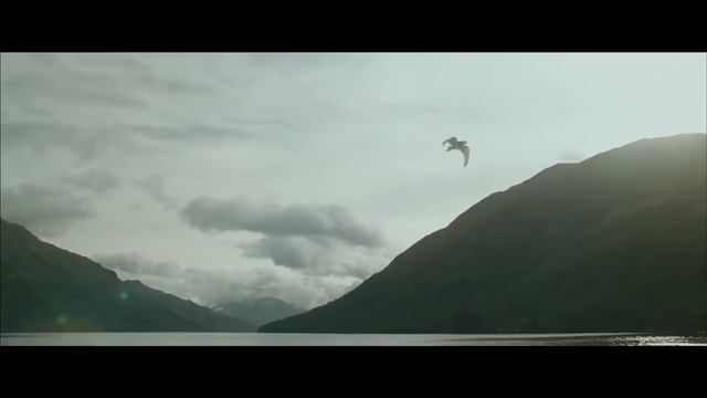 Гарри летает на гиппогрифе. Гарри Поттер и узник Азкабана. 2004 смотреть онлайн