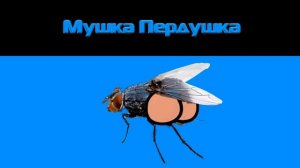 Мушка Пердушка Туц Ту Ту Туц!(Original Meme)
