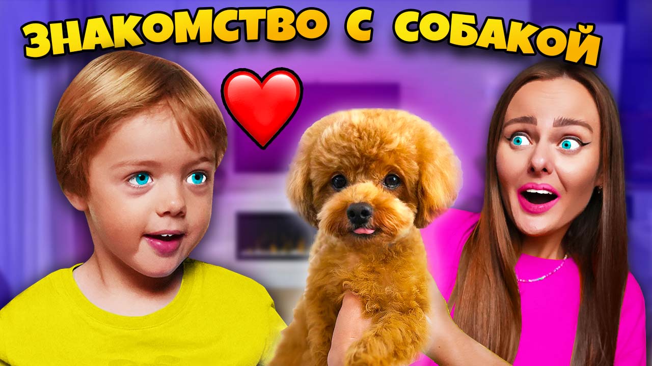СОБАКА ЗНАКОМИТСЯ С МОИМ СЫНОМ! Подписчики управляют нашей собакой смотреть онлайн