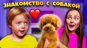 СОБАКА ЗНАКОМИТСЯ С МОИМ СЫНОМ! Подписчики управляют нашей собакой