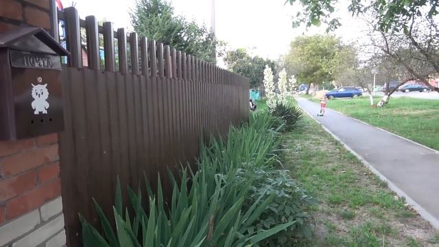 У нас подписчики в гостях. 25.06.23 смотреть онлайн