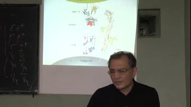 Атауллаханов Р.И. Иммунология для студентов Физфака МГУ Лекция №13 смотреть онлайн
