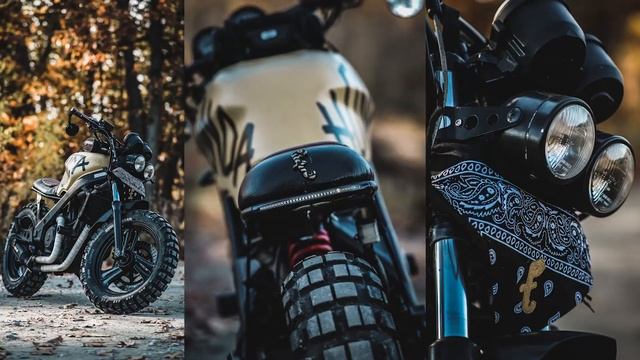 HONDA NTV650 *CAFE RACER-FOTOGRAFIA