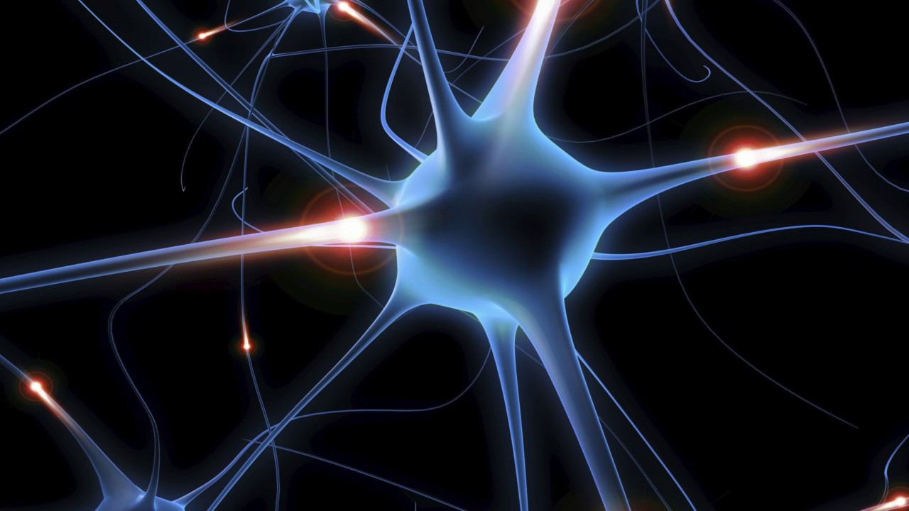 МУЗЫКА ДЛЯ ВОССТАНОВЛЕНИЯ НЕРВНОЙ СИСТЕМЫ смотреть онлайн