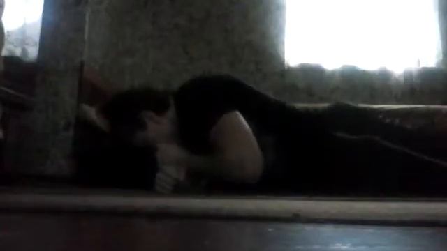 Демо ролик экстримальное отжимание смотреть онлайн