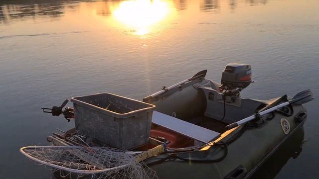 РЫБАЛКА, подготовка крупного амура к жарке. Мариновка и пропорция соли. смотреть онлайн
