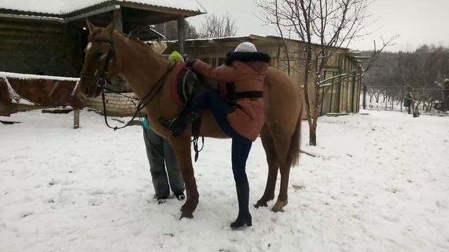 Мастер-класс: как залезть на лошадь смотреть онлайн