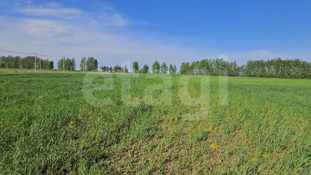 новая калмия, участок 1171 смотреть онлайн