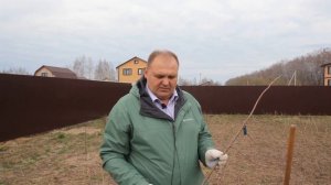 Посадка алычи весной - когда и как это лучше сделать!