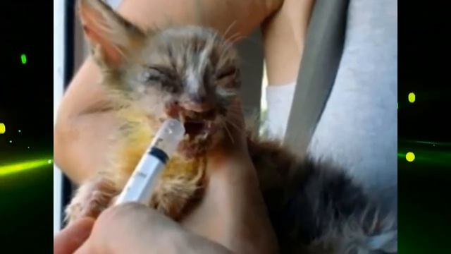 ПРОХОЖИЕ ДАЖЕ В ЕГО СТОРОНУ НЕ ХОТЕЛИ СМОТРЕТЬ, НО ОДНА МАЛЕНЬКАЯ ДЕВОЧКА ... смотреть онлайн