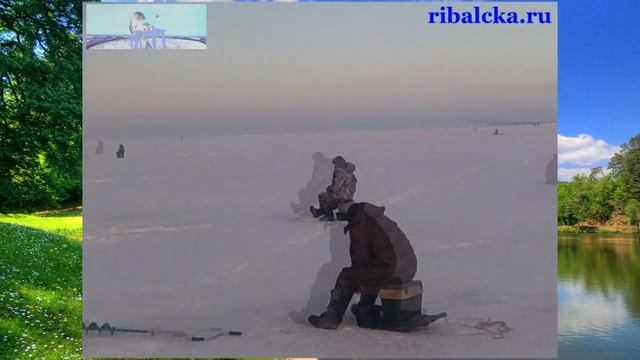 Зимняя рыбалка на Ладоге, ловля рыбы зимой на Ладожском озере смотреть онлайн