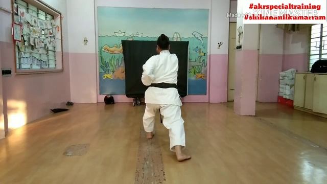 Empi kata step by step | empi kata | shotokan kata смотреть онлайн