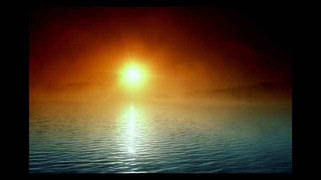 deep forest - night bird смотреть онлайн