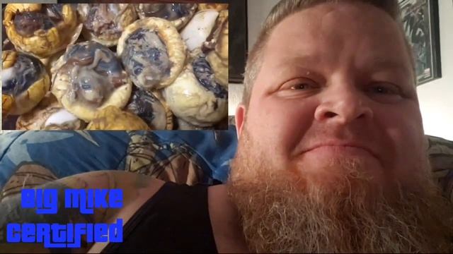 Balut! Reacting to People Trying Famous Balut Filipino Street Food - Filipino Food Reaction смотреть онлайн