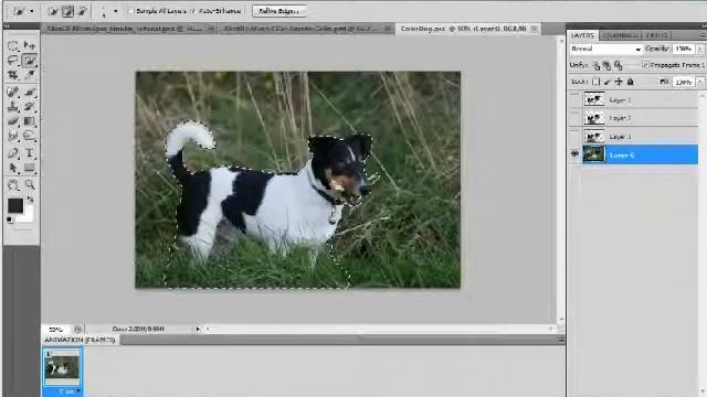 Add Colin Dog to GIF Photoshop Tutorial смотреть онлайн