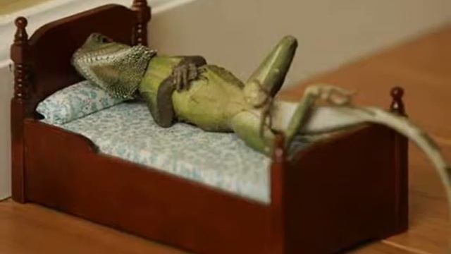 Ваня Ящерица Ремикс смотреть онлайн