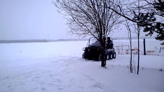 Wild Panther WP8X8 смотреть онлайн