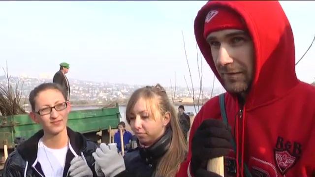 Сажали деревья смотреть онлайн