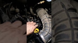 Ford Transit нет давления в топливной рампе. ДВС не запускается.