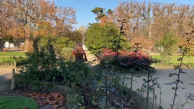 Jardin Des Plantes - Botanical Garden PARIS best of walk смотреть онлайн