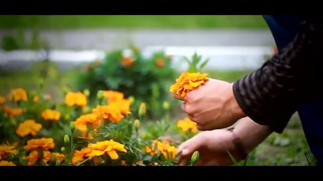 Love story|Виталя и Рита смотреть онлайн