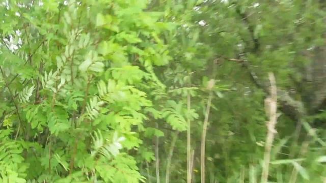 Земельные участки в Добрилово смотреть онлайн