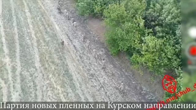 Целое подразделение ВСУ сдалось в плен в Курской области. смотреть онлайн