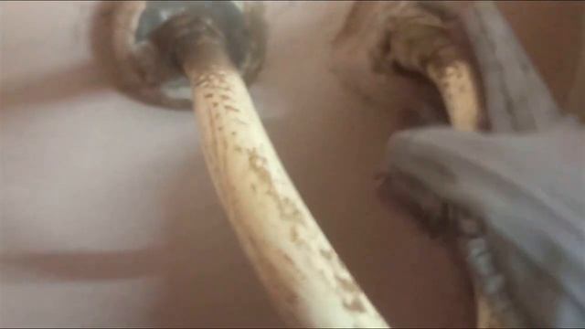 Amway Zoom Concentrate || Demonstration || Amway Zoom Demo смотреть онлайн