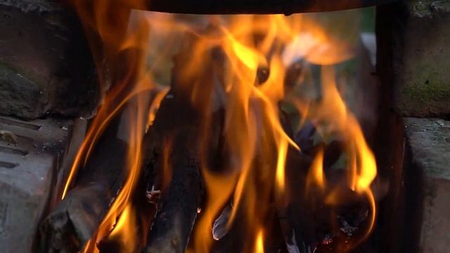 Бушкрафт. Готовим черемшу на костре. Хонки сезон. Bushcraft смотреть онлайн