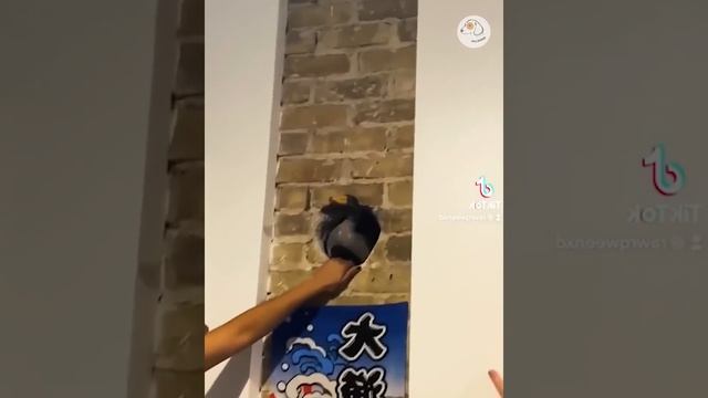 Смешные животные #147.mp4 смотреть онлайн