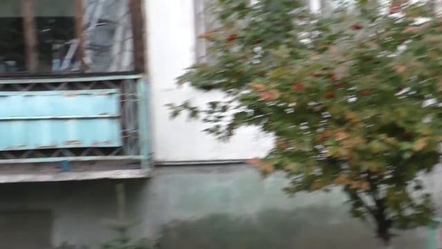 Простыми секретами успеха ТСЖ "С-29" делится председатель Михаил Лычагин смотреть онлайн