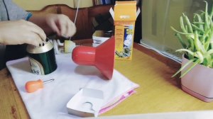 Красноухая черепаха. Ультрофиолетовая лампа