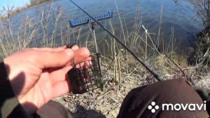 Фидер на Десне.Ход плотвы 2021