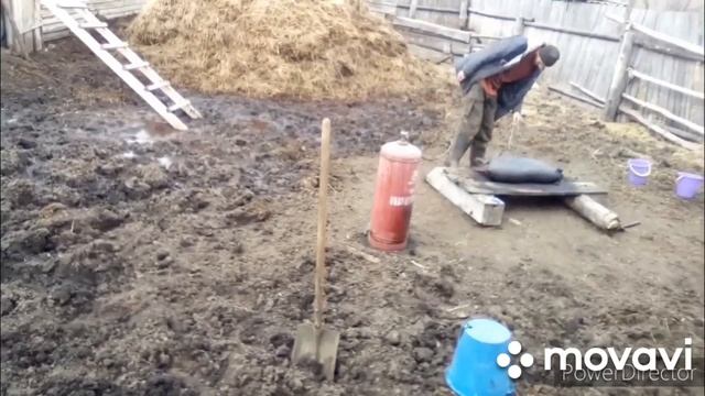 Две свиньи за восемь минут)))) смотреть онлайн