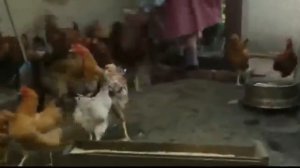 Анжелика Сериал Мелодрама