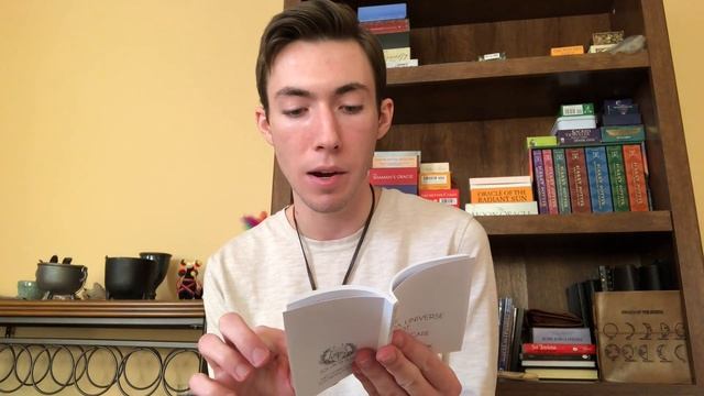 Review: The Fox Universe Tarot: A Self Care Oracle смотреть онлайн