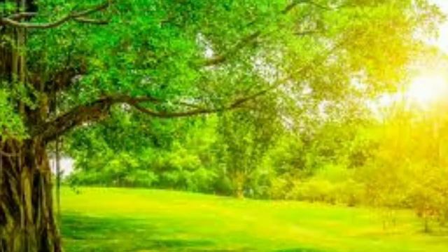 Чё пацаны аниме?|| смотреть онлайн