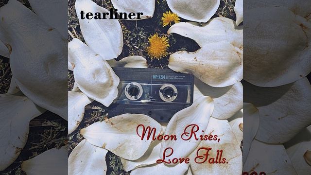 Moon Rises, Love Falls. смотреть онлайн