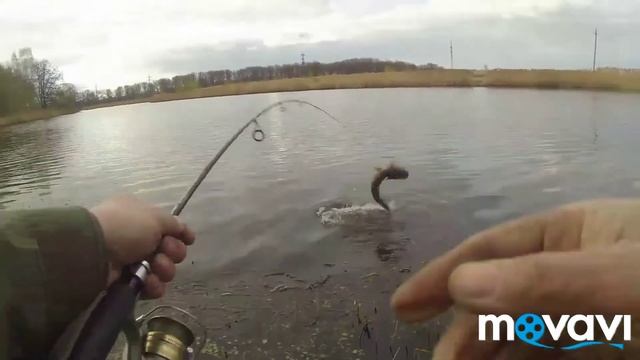 29 апреля. Ну наконец дождался первой нормальной щуки в этом сезоне. смотреть онлайн