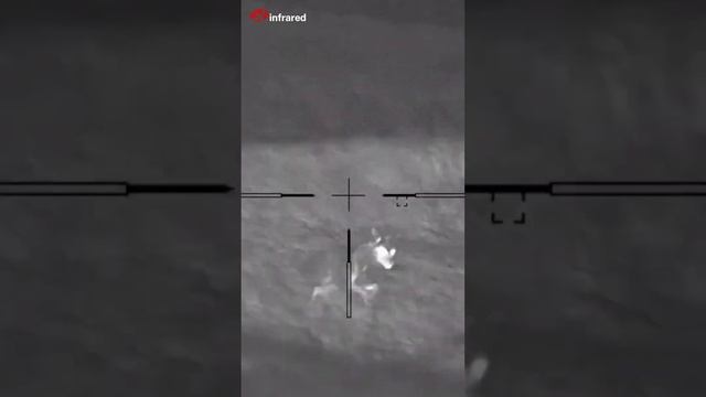 Xinfrared T2 Pro|Thermal Camera|Thermalhunting| Night Vision| Let’s observe wildlife in deep forest смотреть онлайн