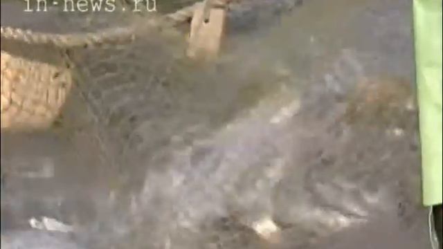 Совместное промышленное освоение Арктики (ВЦС от 11.12.13) смотреть онлайн