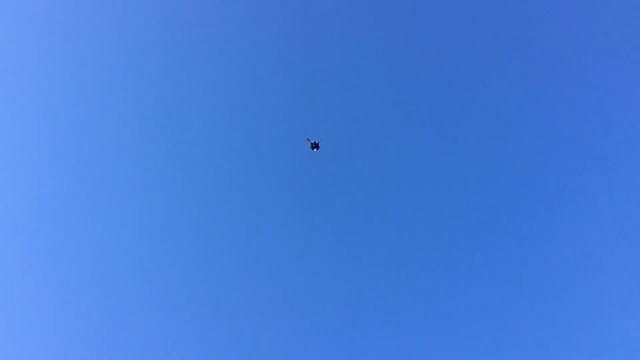 Зеленые корма, незаменимый источник витаминов и аминокислот