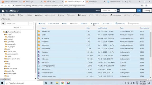 Backup Your WordPress Website in Live Host thru cPanel File Manager | PHPMyadmin | Tagalog Tutorial смотреть онлайн