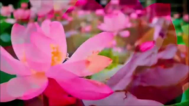 Законы Вселенной, которые нельзя нарушать