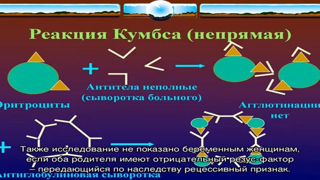 Тест Кумбса смотреть онлайн